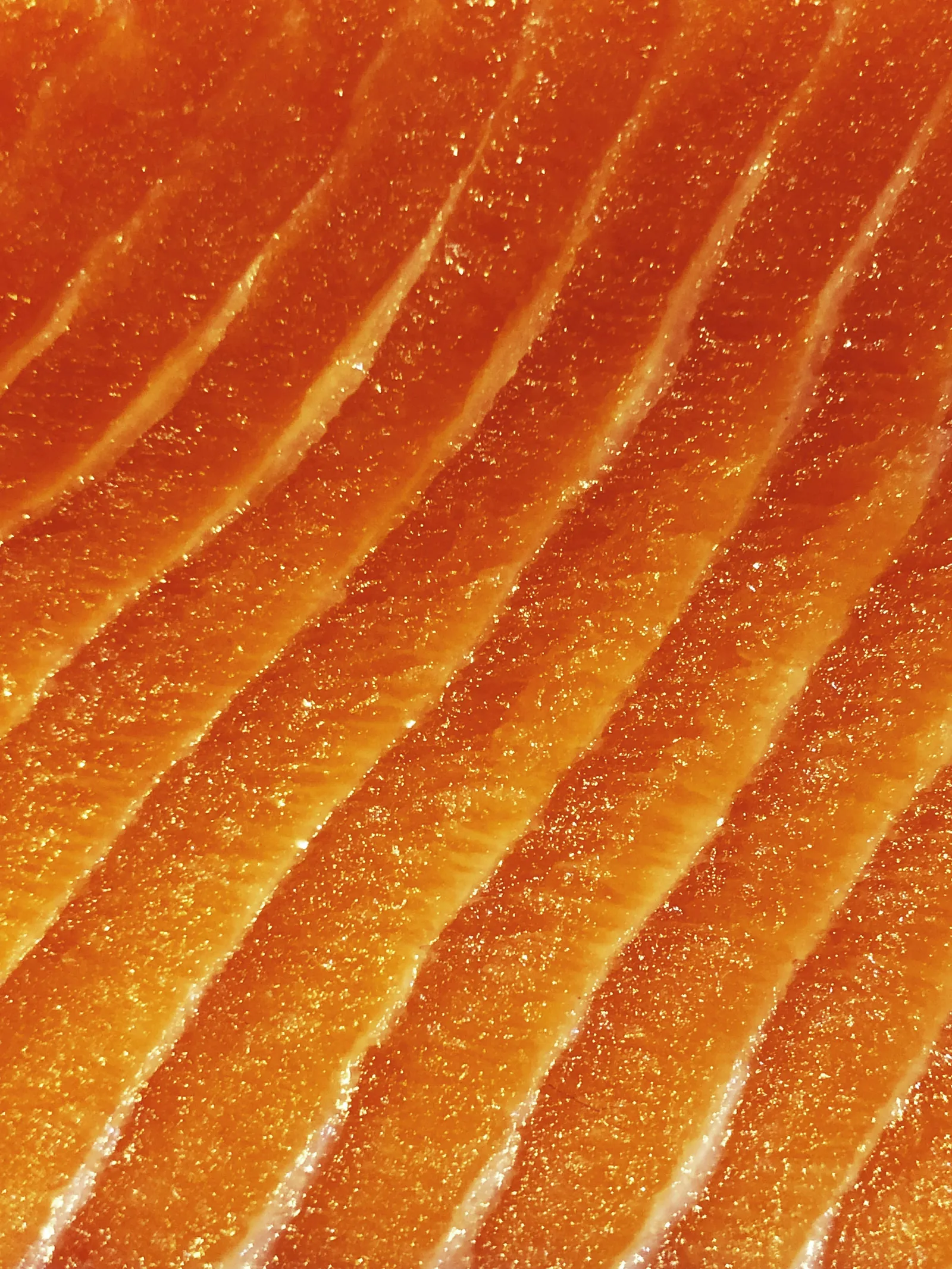 Linien in einem rohen Fischfilet
